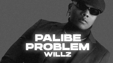 Willz Mr. Nyopole - Palibe Problem